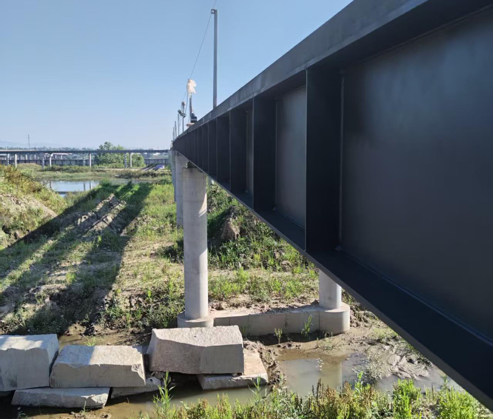 一码特精准资料