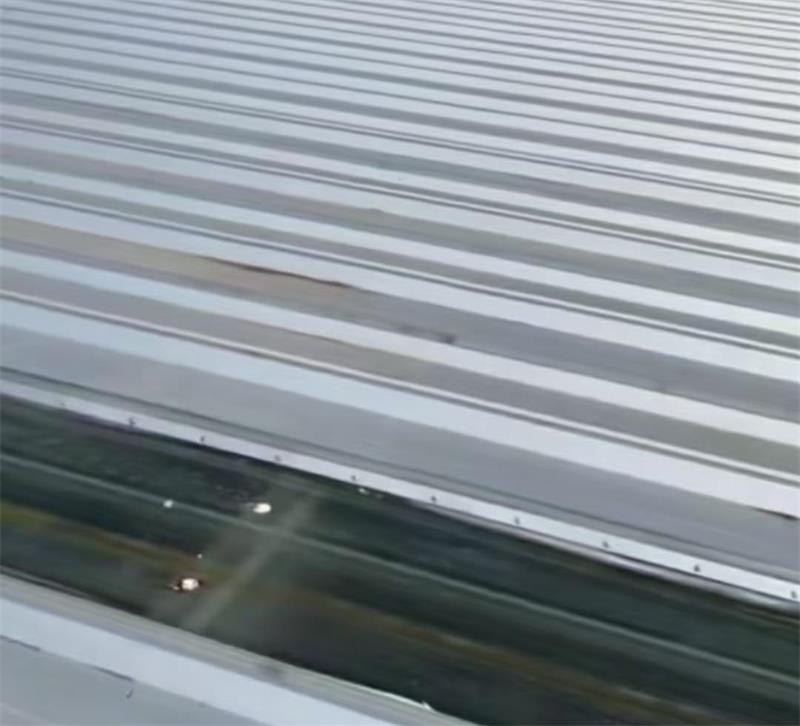 一码特精准资料